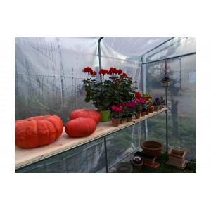 Serre de Jardin modèle Primeur 200X270 Serre de Jardin modèle Primeur 200X270